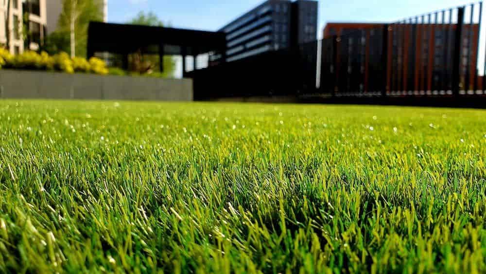 Mowing Services image