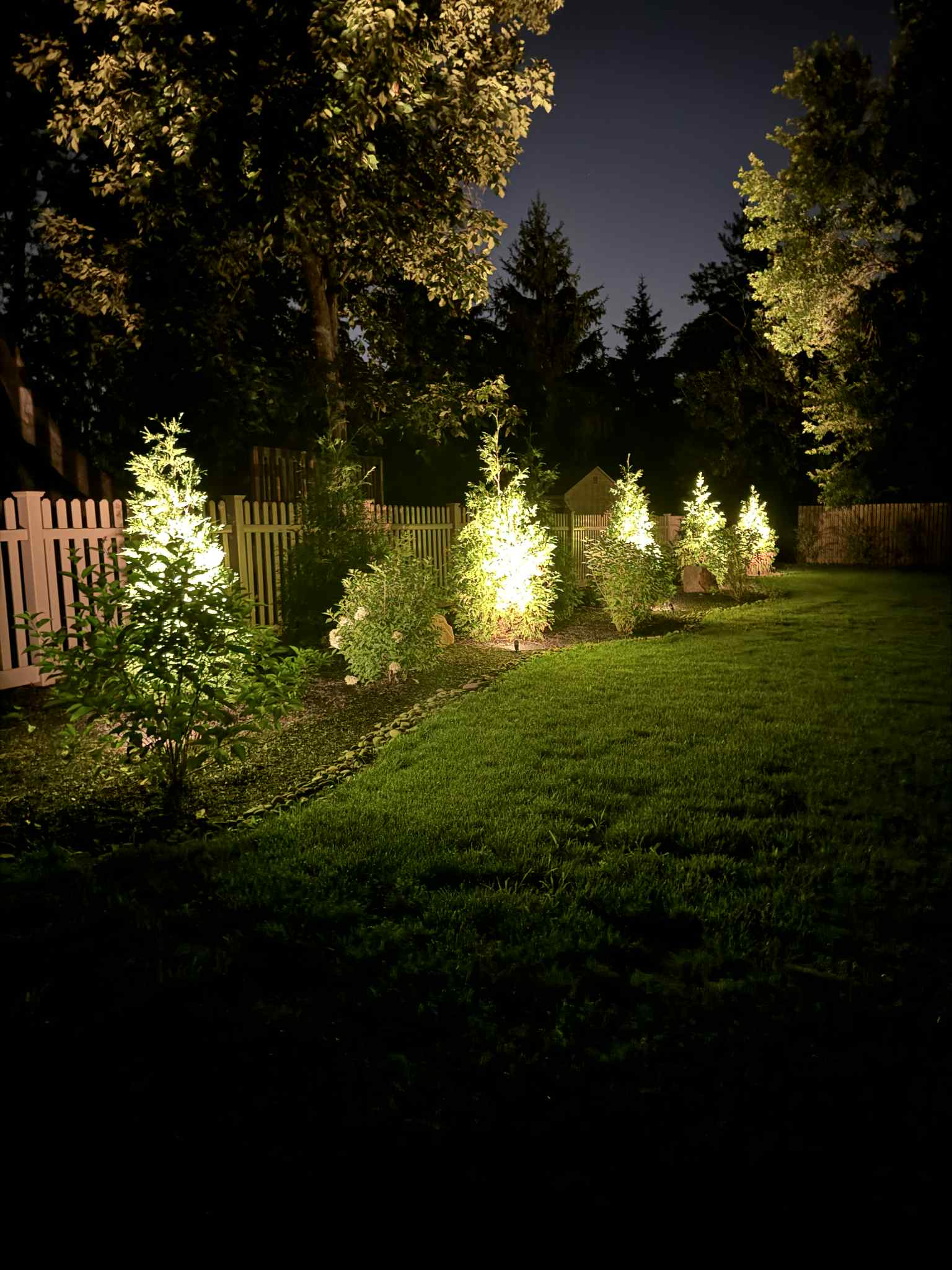 Transformative Backyard Paradise Design