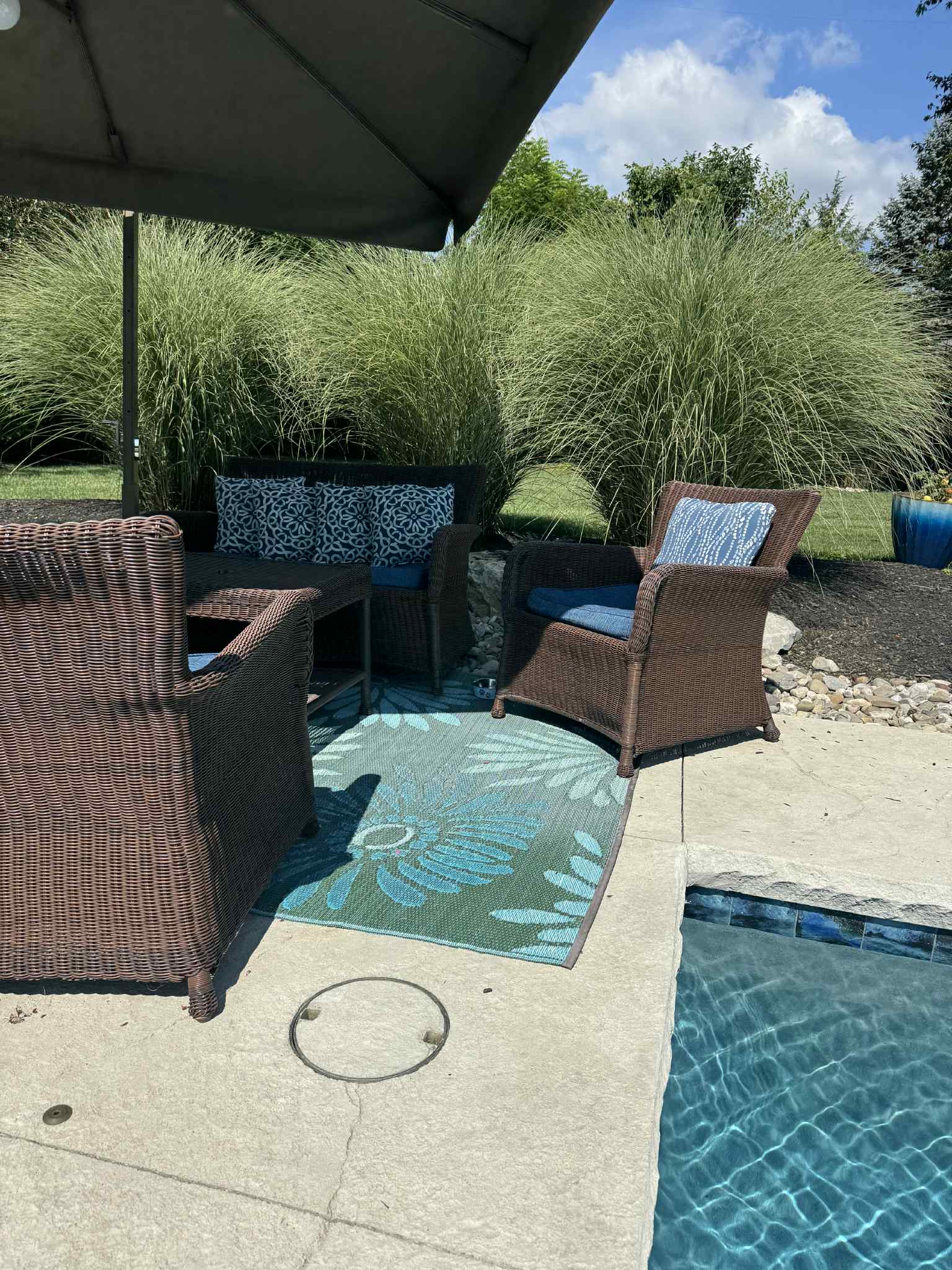 Transformative Backyard Paradise Design
