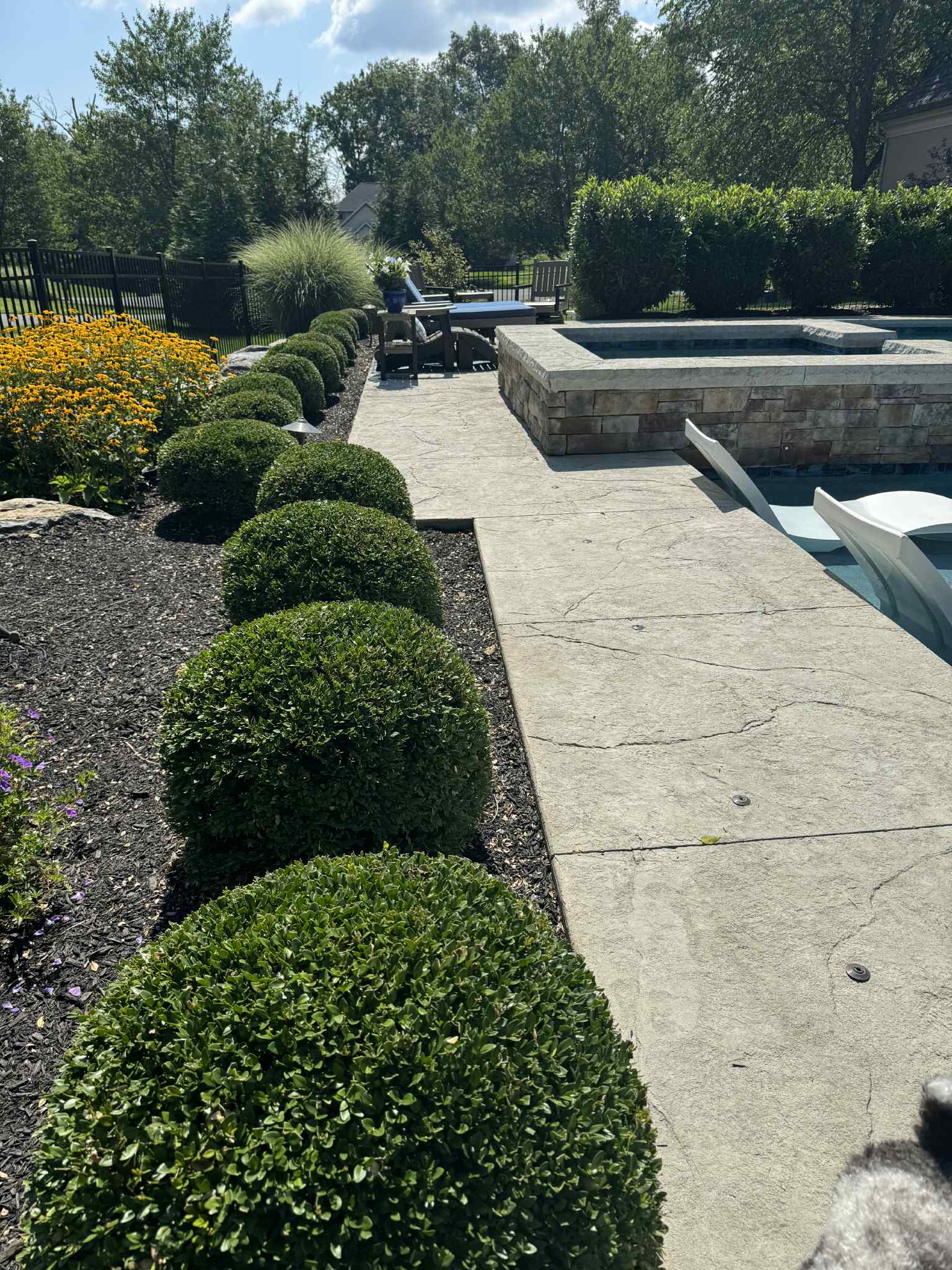 Transformative Backyard Paradise Design