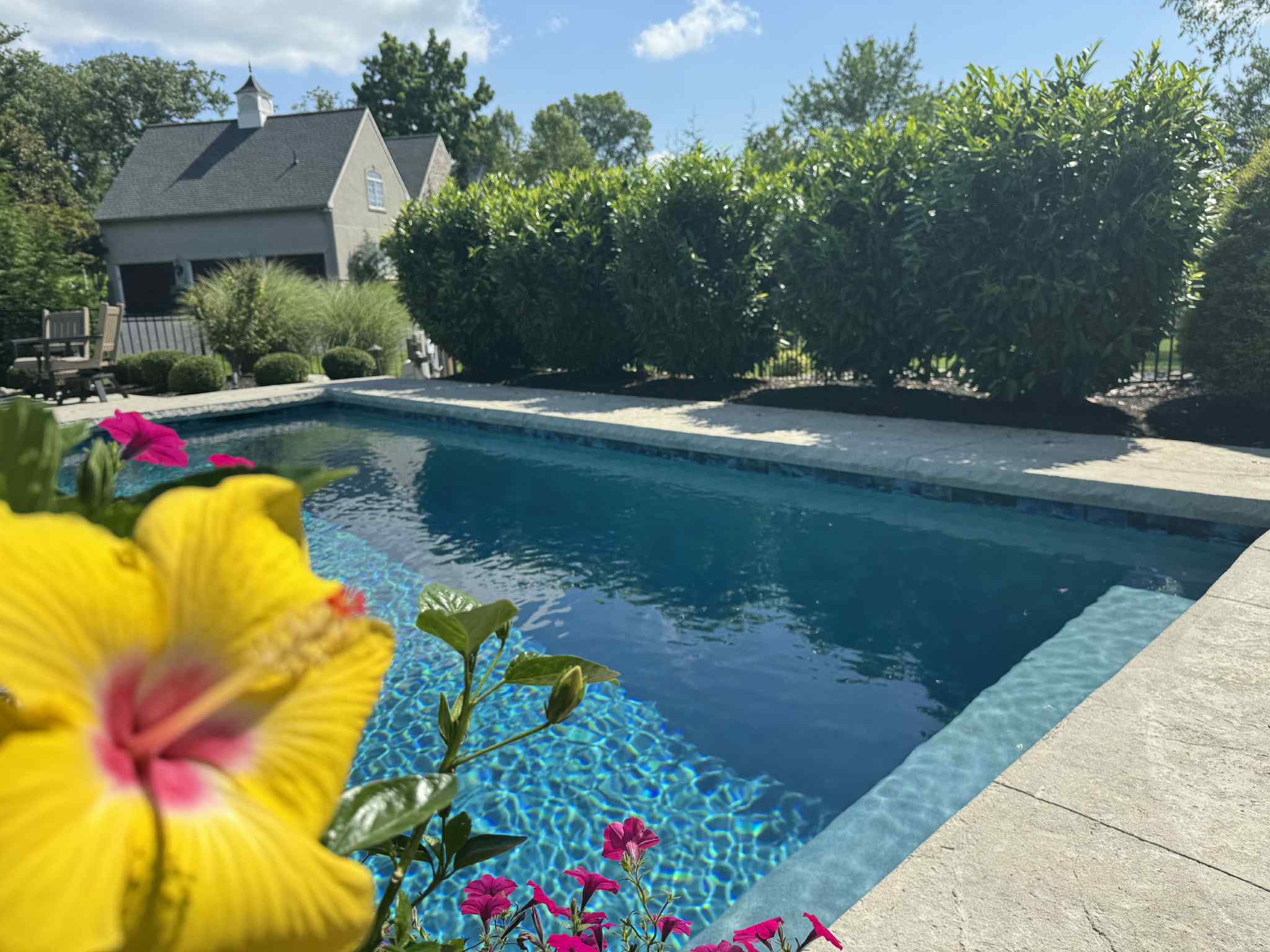 Transformative Backyard Paradise Design