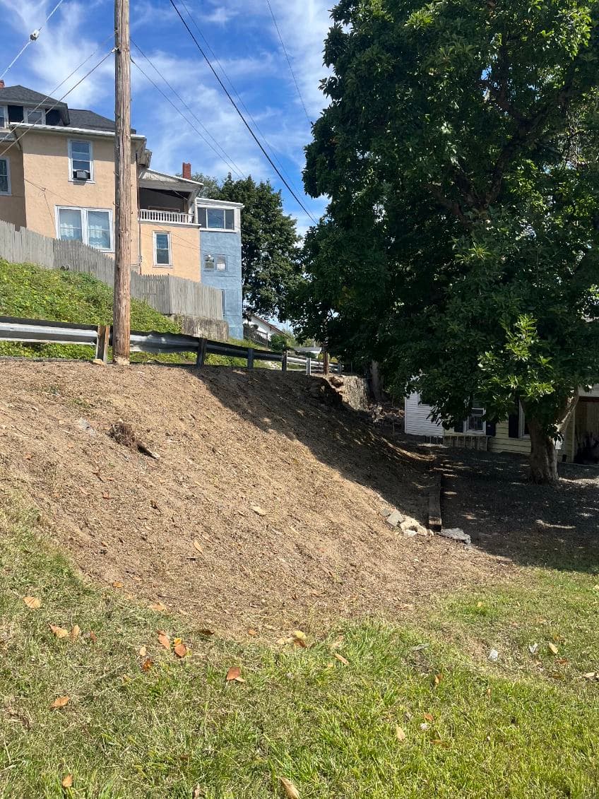Transforming Overgrowth into Refreshing Greenery