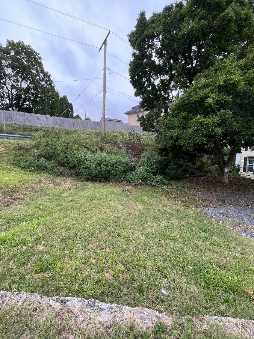 Transforming Overgrowth into Refreshing Greenery