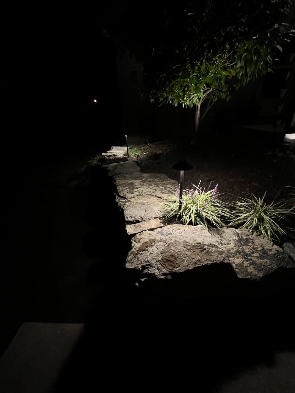 Gallery photos for Transform Your Home with Elegant Exterior Lighting: Image #2