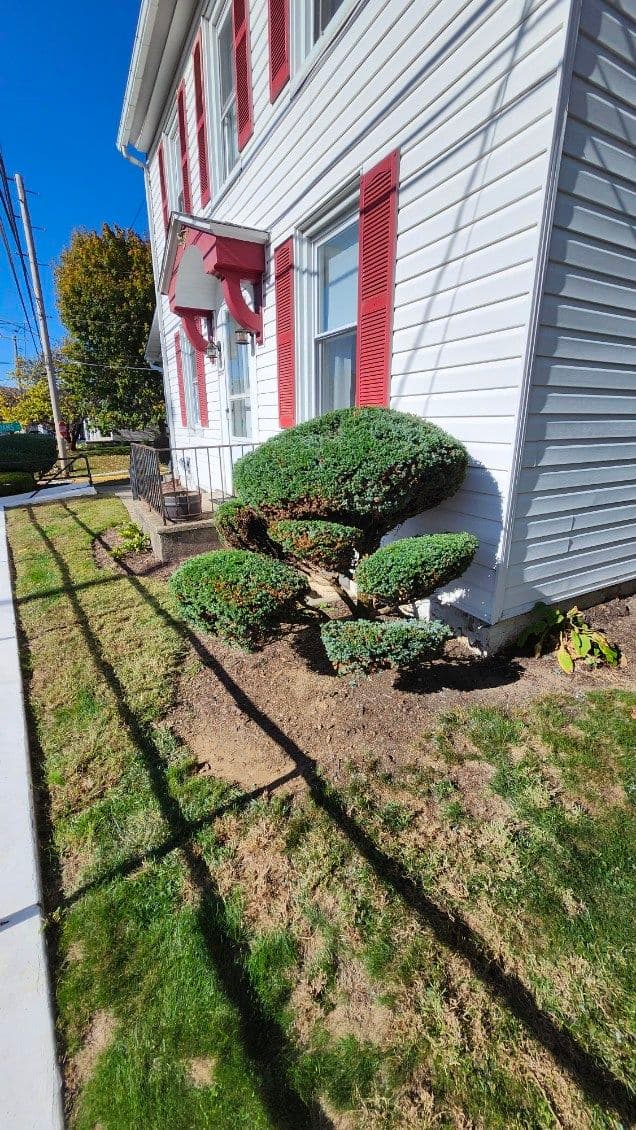 Project Trimming Expertise Transforms Residential Landscape image