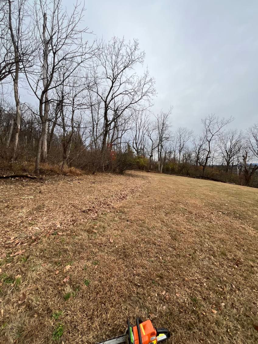 Gallery photos for Clearing the Way with Expert Landscaping: Image #1