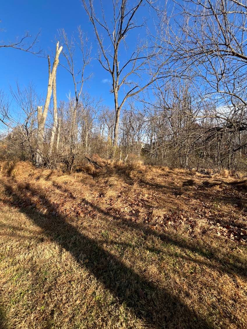 Gallery photos for Clearing the Way with Expert Landscaping: Image #3