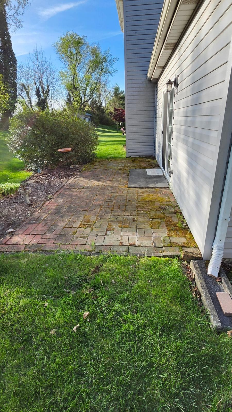Fresh Patio Transformation in Vibrant Setting image