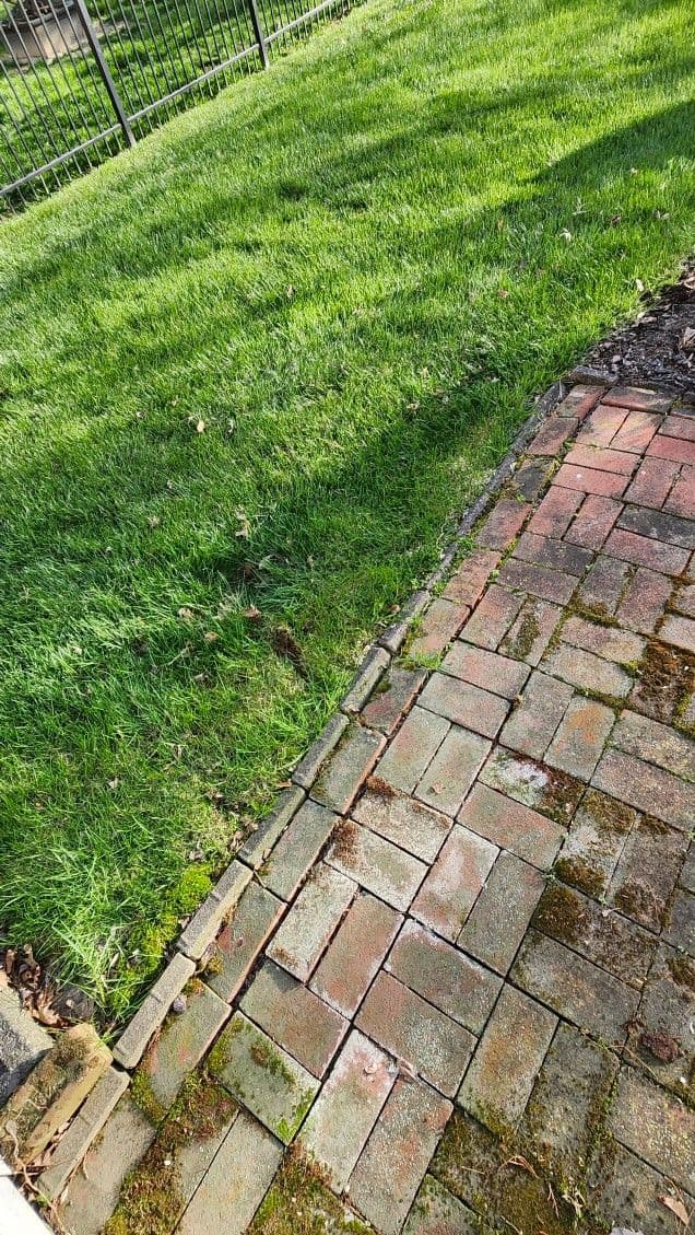 Gallery photos for Fresh Patio Transformation in Vibrant Setting: Image #1