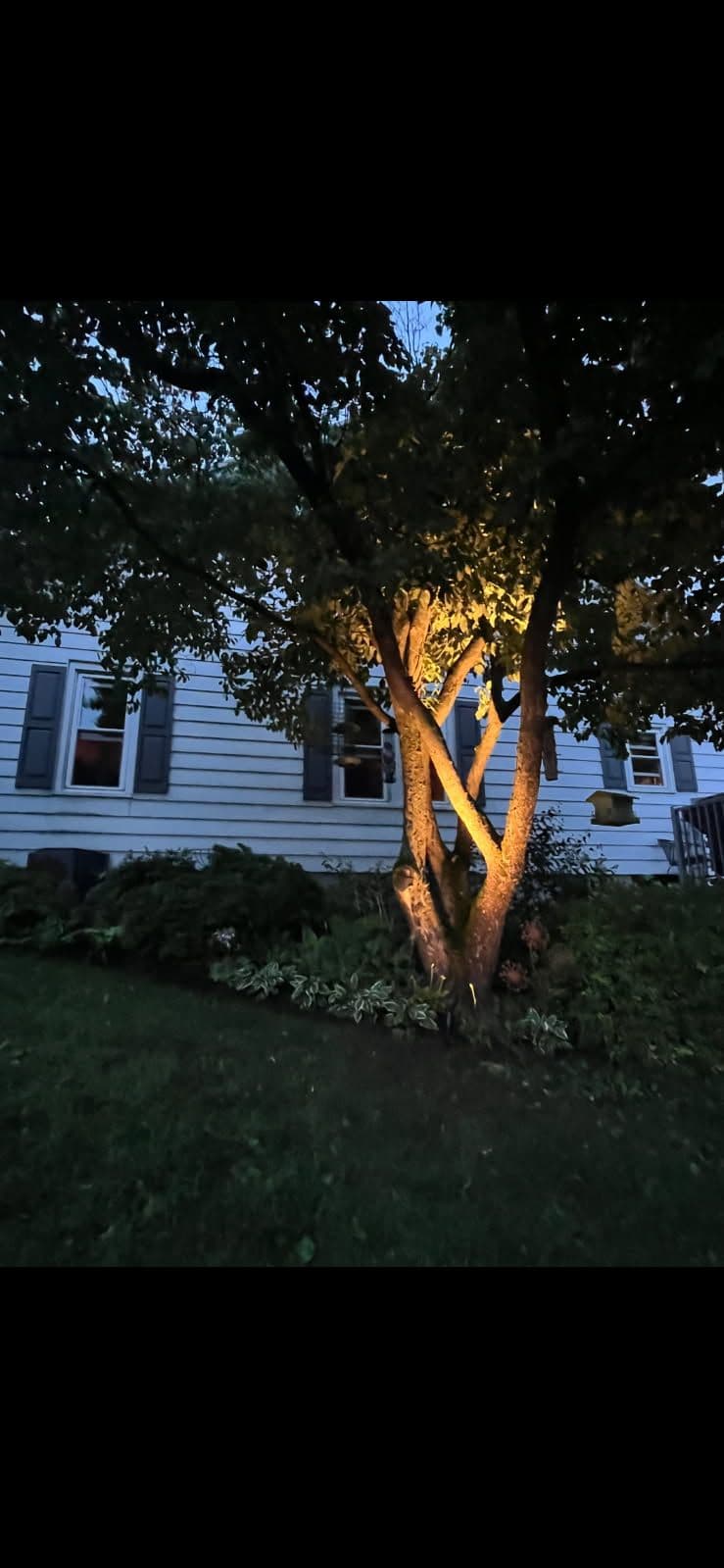 Gallery photos for Illuminate Your Landscape with Artistry and Elegance: Image #2