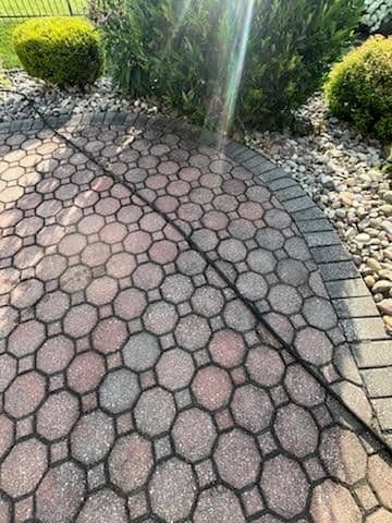 Gallery photos for Transform Your Patio with Paver Restoration: Image #1