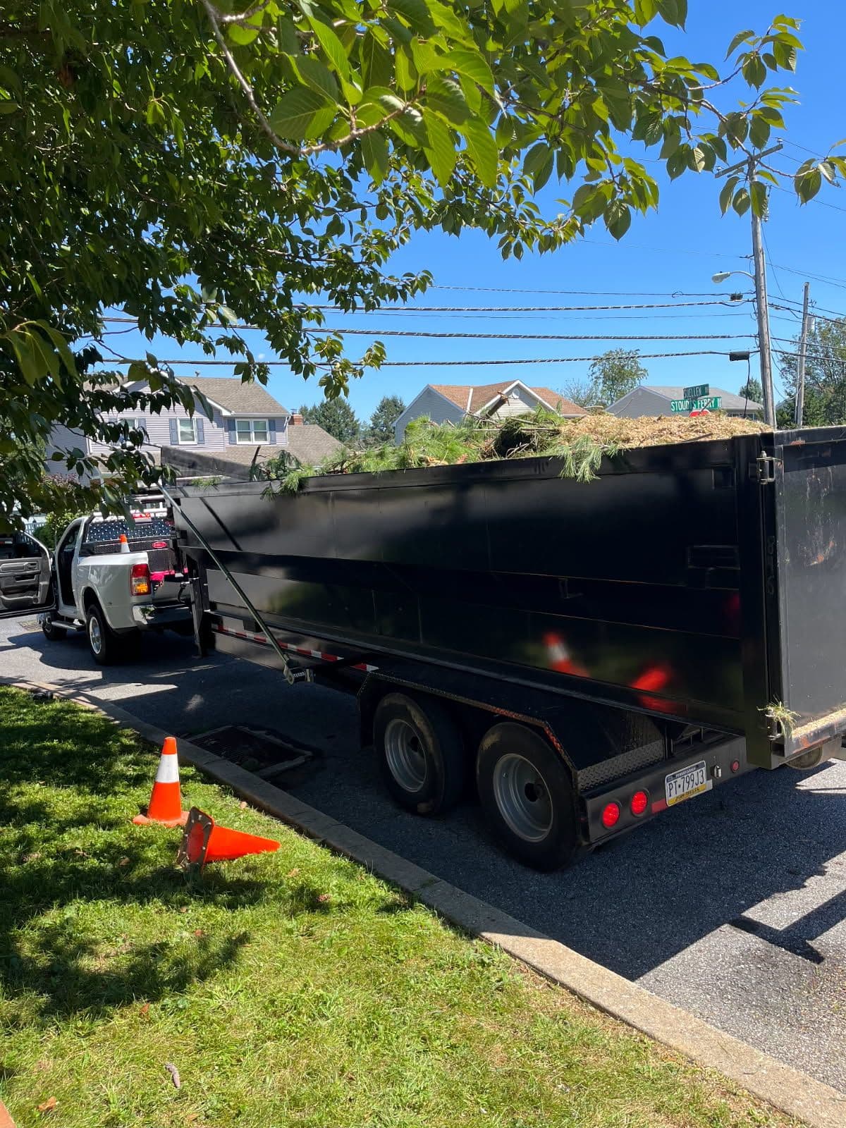 Gallery photos for Successful Tree Removal by Golden Vision Properties: Image #1